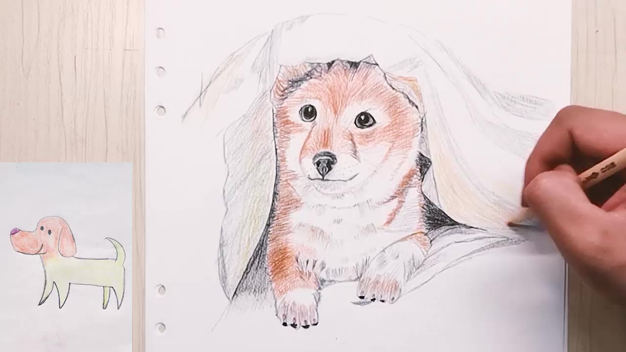 改造沙雕画【唐犬】